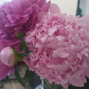 Meet your Posher, May